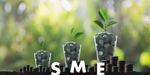 Coins growing with plants symbolizing SME growth.