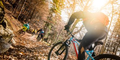 Mountain bikers riding in the trail. Being filmed real time from another rider. Best perspective