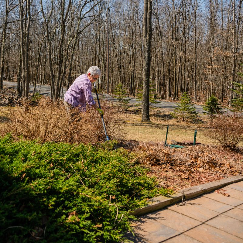The active senior, 70-years-old, silver-haired woman doing the spring clean-up at the front yard in front of the country house in Poconos, Pennsylvania