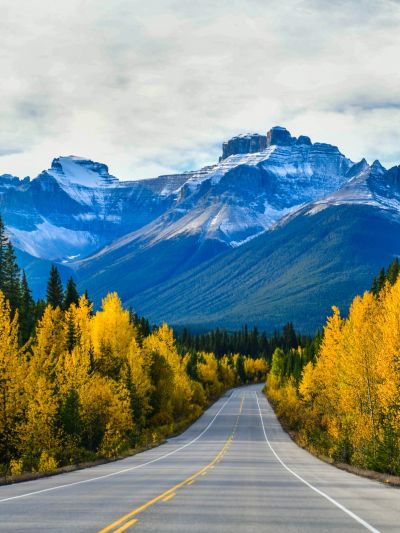 Road leading to snow-capped mountains with autumn trees.