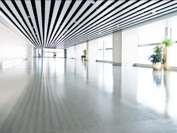 Bright, empty hallway with striped ceiling and potted plants near windows.