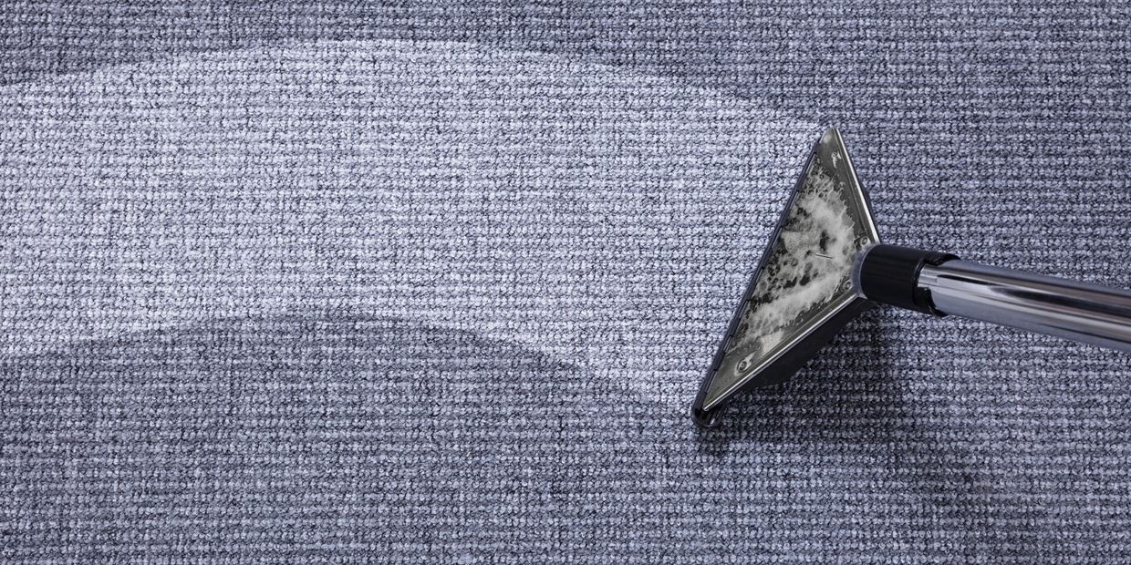A carpet being cleaned with a steam cleaning vacuum.