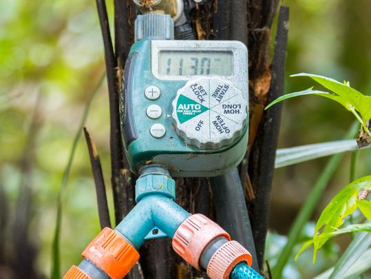 Automated Irrigator Controller