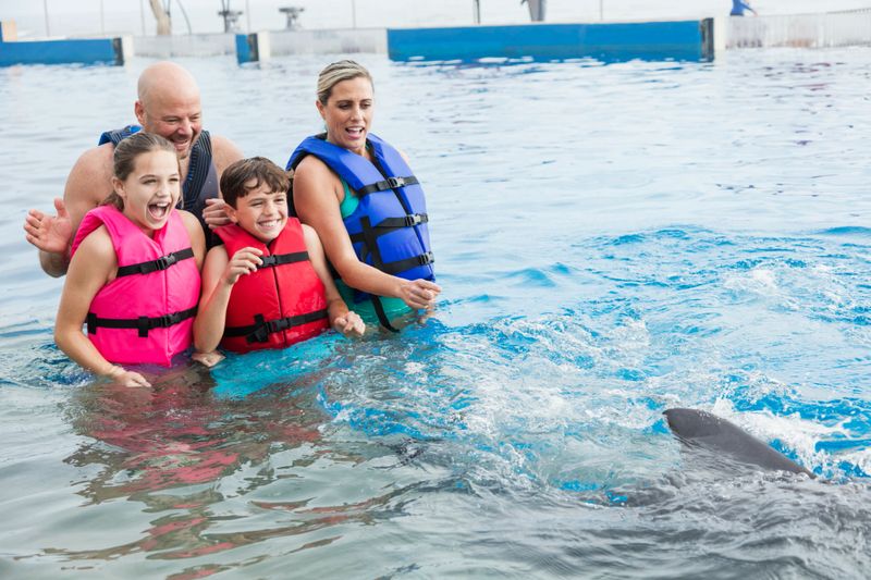 A family with two children, 11 and 12 years old, visiting a marine education park. They are wearing life jackets, standing waist deep in water, playing with a bottlenose dolphin. They are watching as the dolphin swims away.