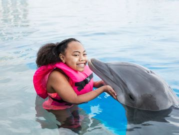 A guided experience where guests meet and interact with friendly dolphins in shallow Caribbean water