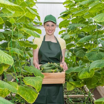 Gardening services in Victoria, BC.