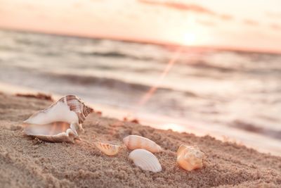 Sharon Nicholson 
Registered Member MBACP Accred

Anxiety & Overthinking Therapy Intensive