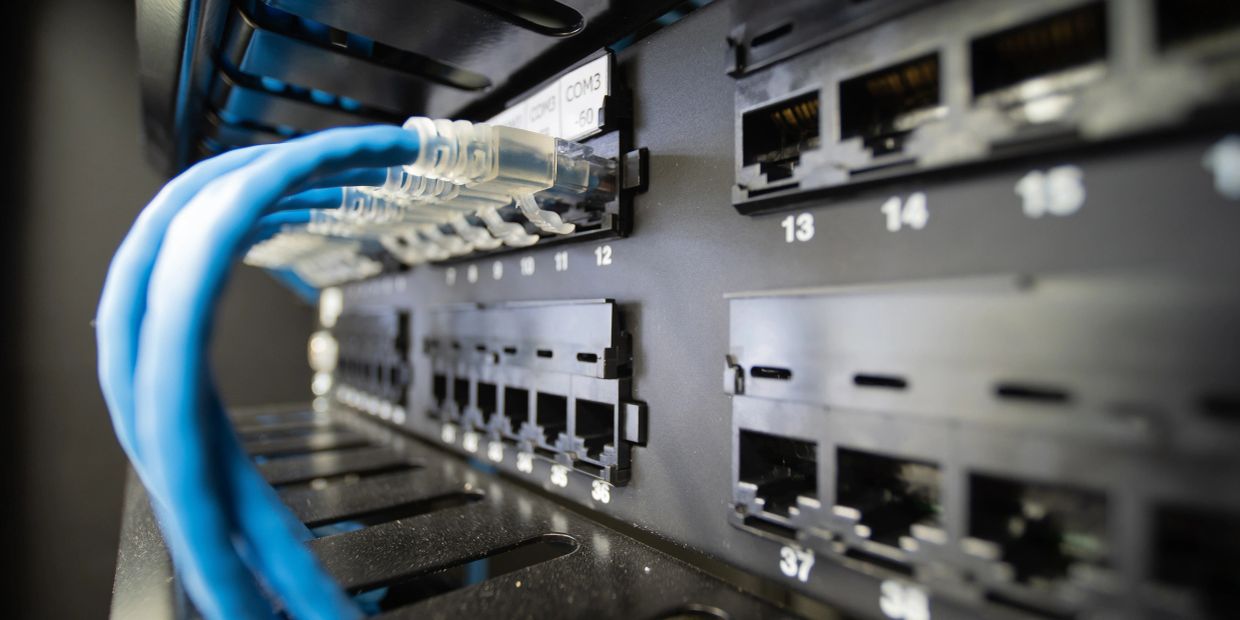 Close-up of blue Ethernet cables plugged into a network switch.