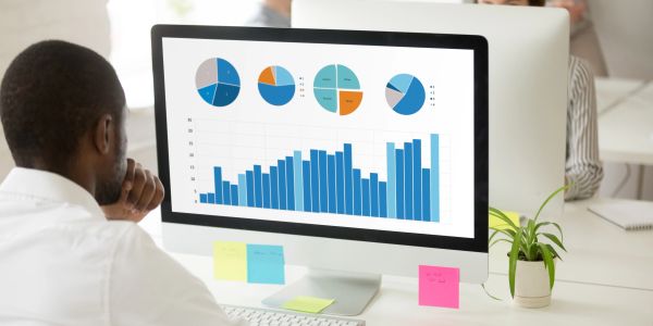 Person analyzing charts on a computer screen.