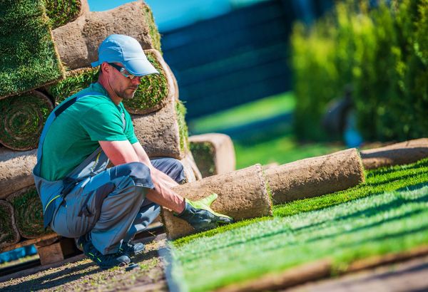Hard & Soft Landscaping