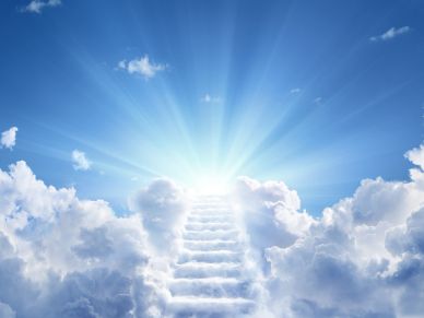 Botopedia Part 2: Elevating Ro(bot) Employees To Our C-Suite