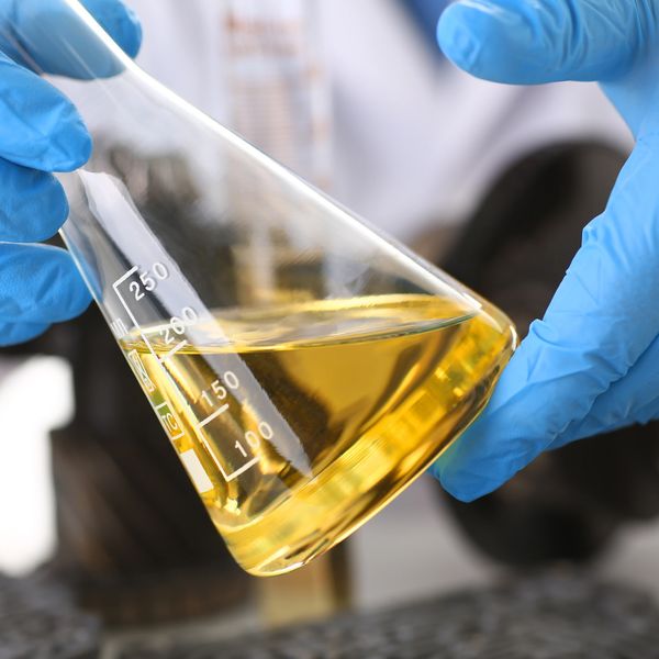 A Lab Technician holding a beaker filled with a biological sample