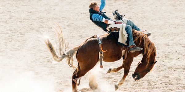 A cowboy rides a bucking horse at a rodeo.