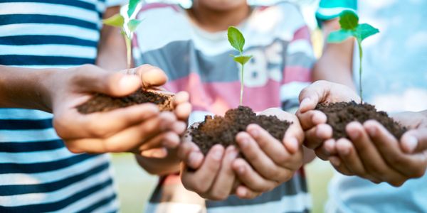 Three people with hands extended, holding a mound of dirt with a growing plant in it.