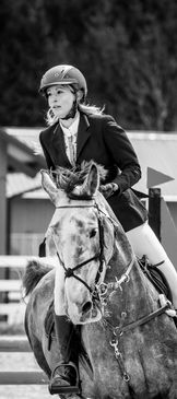 Elegant horse head shot for spring show.
