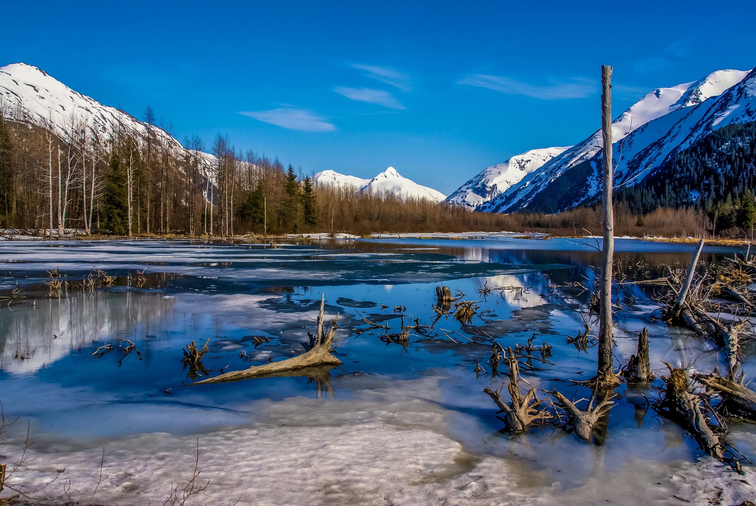 Frozen lake with snow-covered mountains and bare trees under a clear blue sky.
