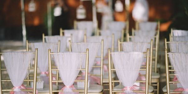 Rows of gold chairs decorated with white fabric and pink ribbons for an event.