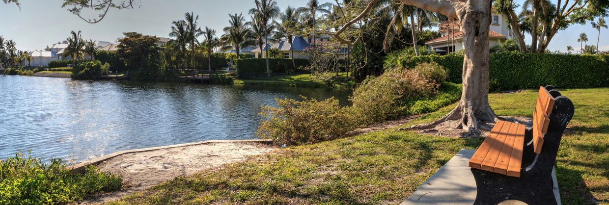 Dog enjoying Naples park