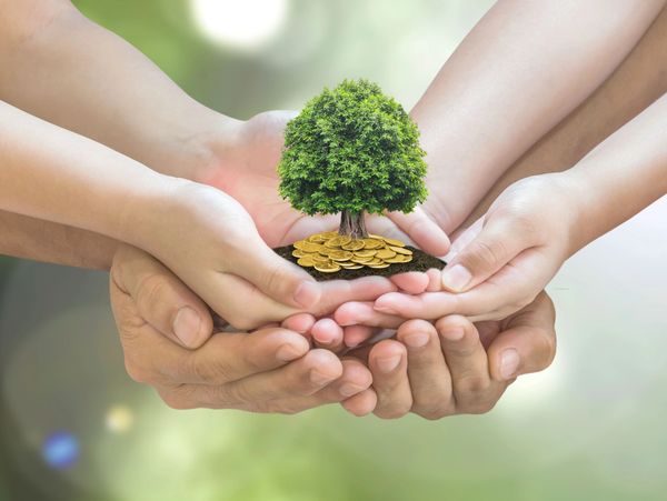 A small tree growing on gold coins held by multiple hands symbolizing growth and property investment.