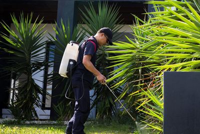 Ocean Grove Pest Controller spraying for spiders and ants