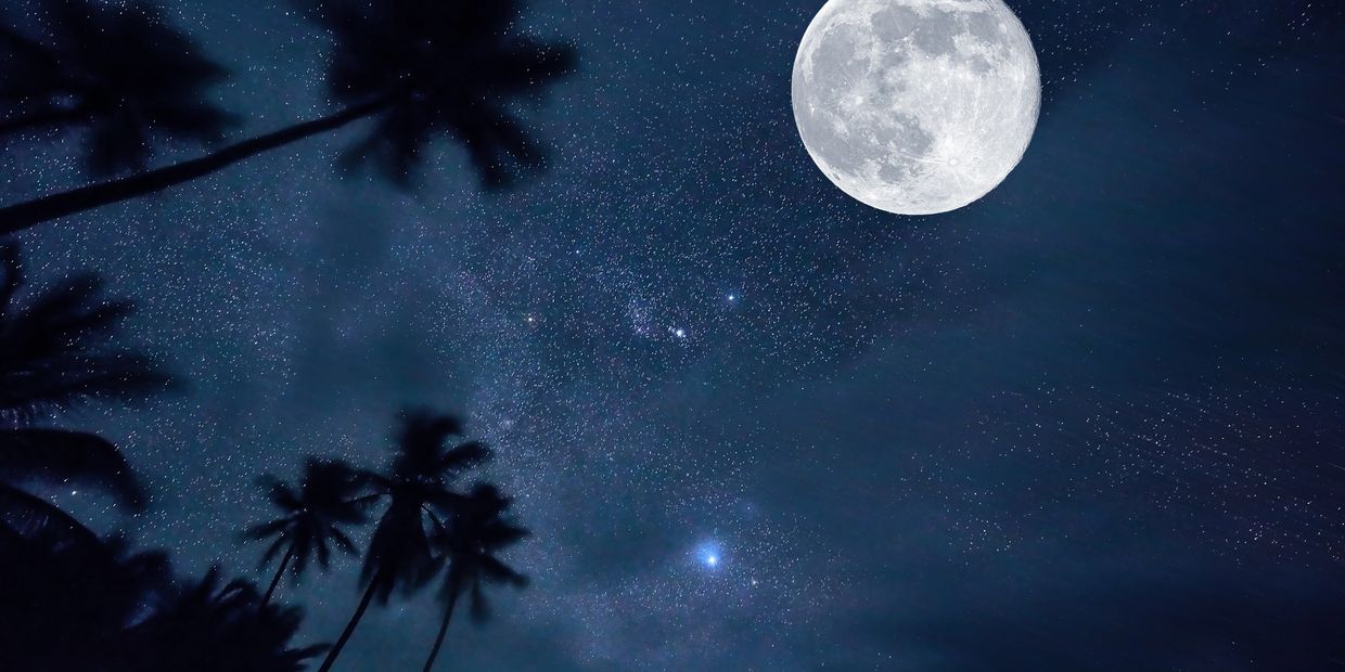 Full moon shining brightly over silhouetted palm trees against a starry night sky.