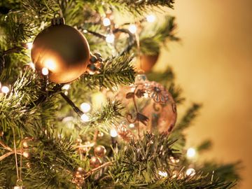 Rooted in Wellness Expo: A Crunchy Christmas!