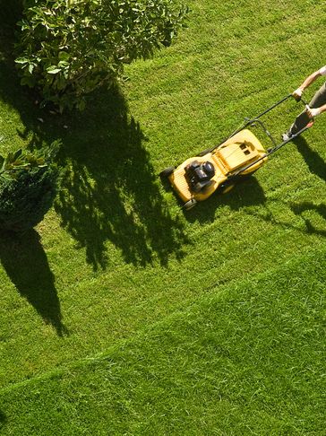 Person mowing a lush green lawn with a yellow lawnmower on a sunny day.
