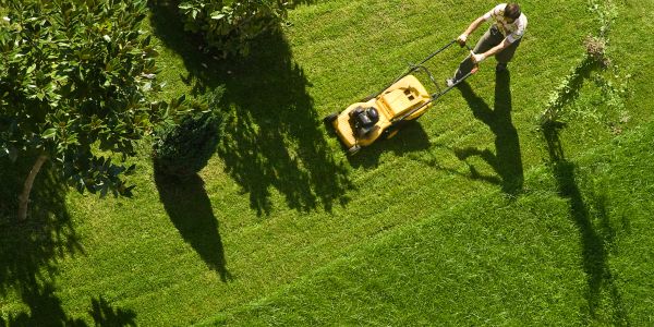 Person mowing a green lawn with a yellow lawn mower.