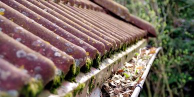 Gutter Cleaning