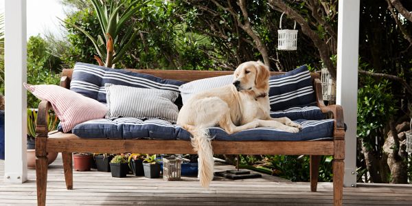 Golden retriever lounging on a cushioned outdoor wooden bench.