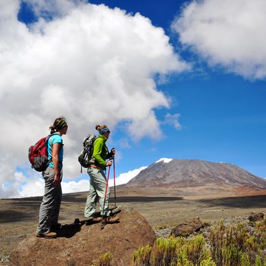 Trekking In Mount Kilimanjaro