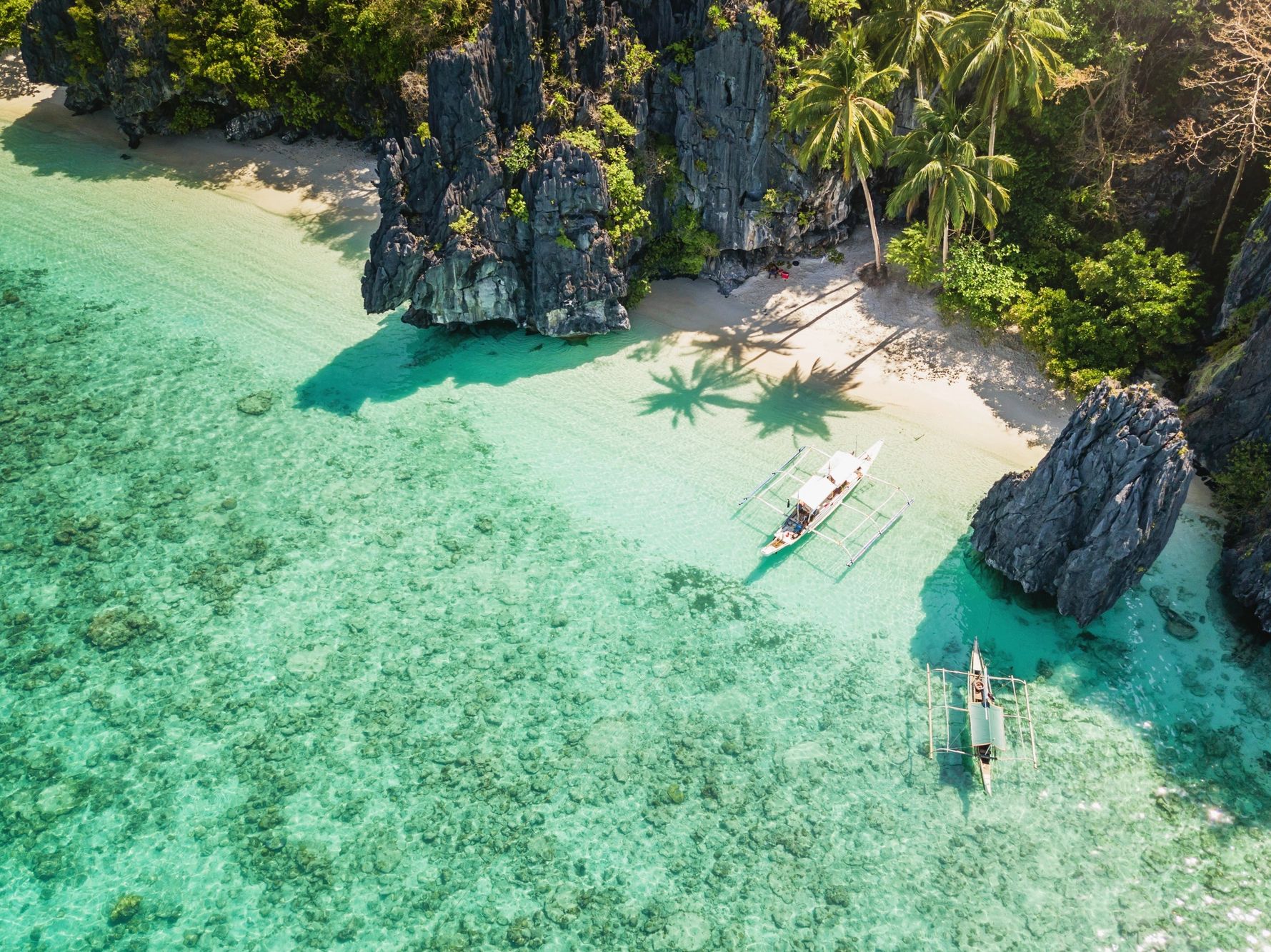 Turquoise tropical coastline with limestone cliffs and palm trees