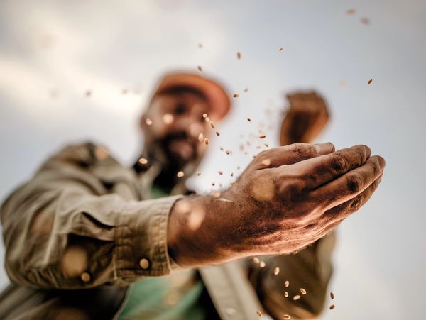 A person releasing seeds from their hands against a cloudy sky.