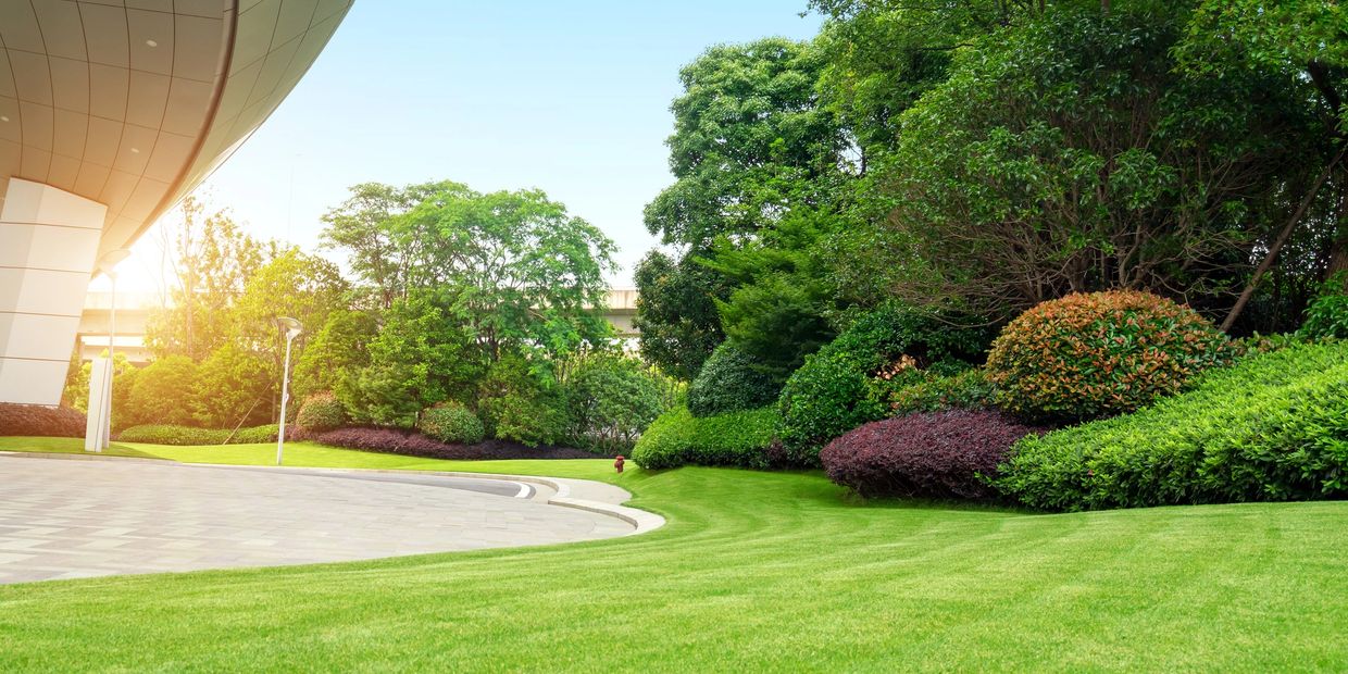 Sunlit garden with manicured lawn and lush shrubs beside a modern building.