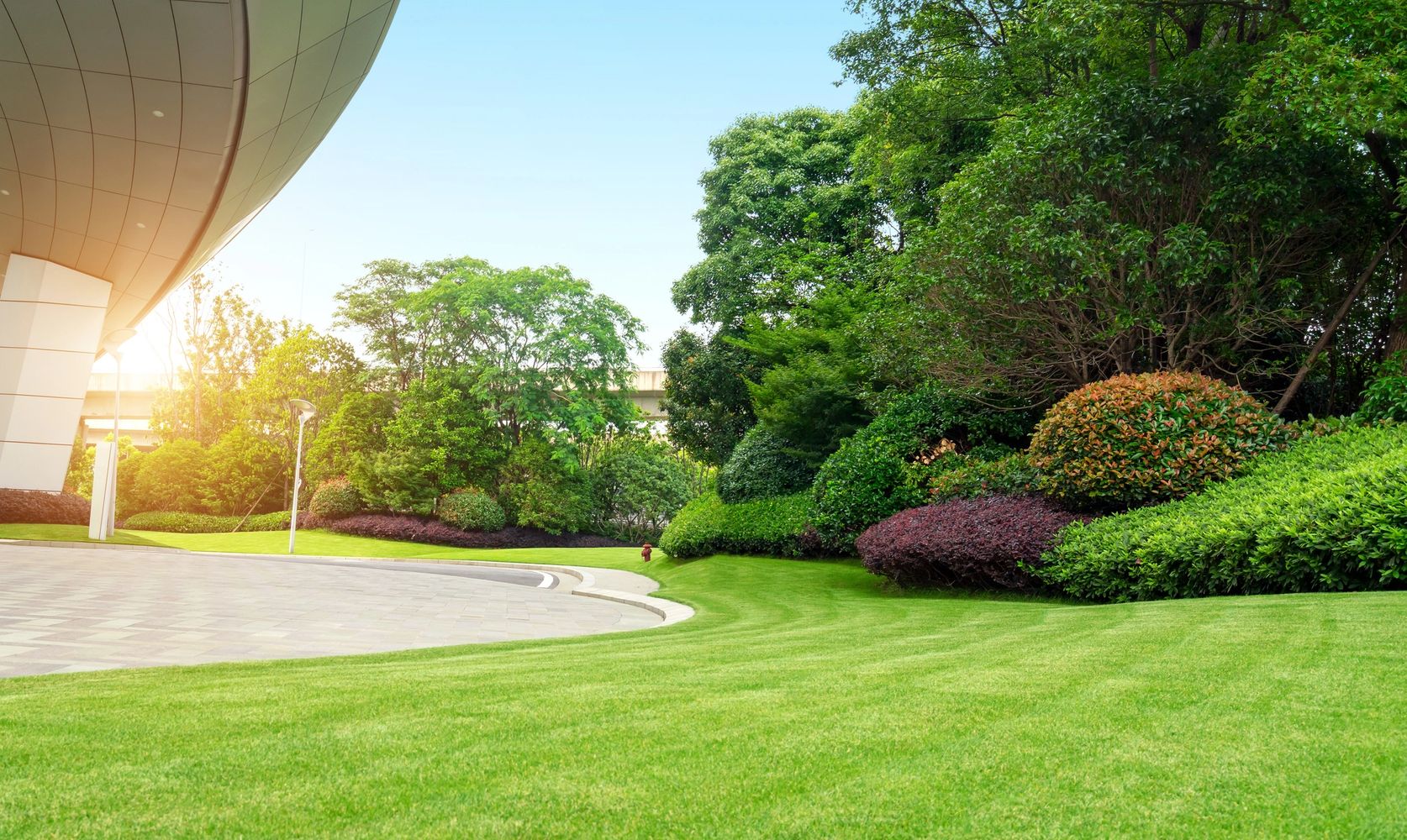 Well-maintained green lawn with various shrubs beside a modern building.