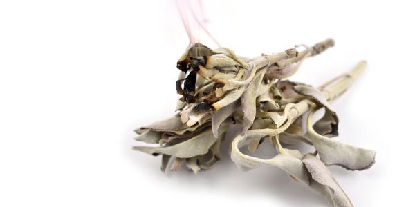 A bundle of dried sage leaves emitting smoke on a white background.