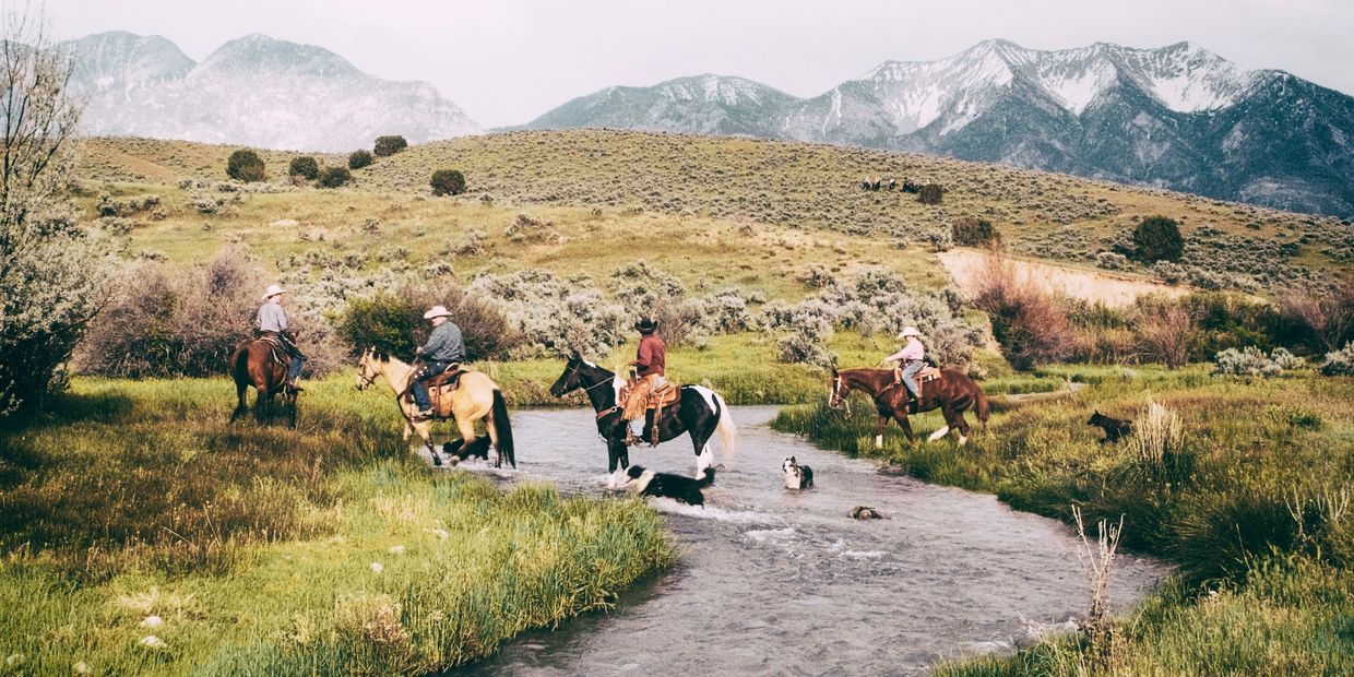 Four cowboys on horseback cross a river with dogs in a scenic mountain landscape.