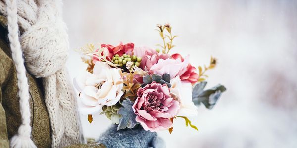 Shop our variety of fresh plants for plant delivery! 