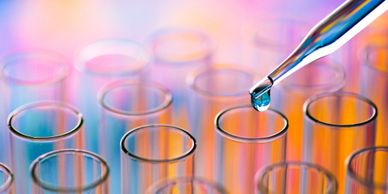 glutathione for cipro toxicity Antioxidant therapy in the management of Fluoroquinolone