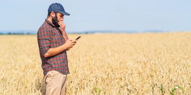 A man in a plaid shirt and cap using a phone in a wheat field.