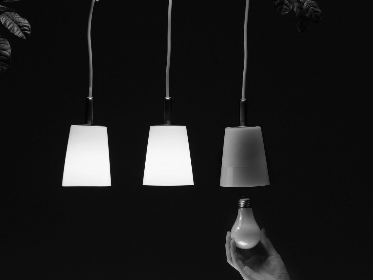 Hand holding a lightbulb beneath three hanging lamps on a branch.