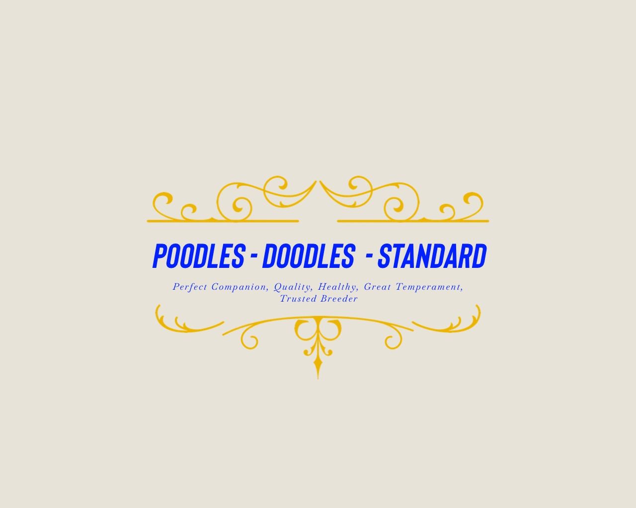 poodlesdoodlesstandard.com
