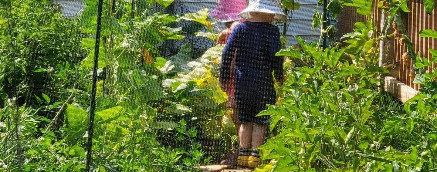 Two children walking in the vegetable kinder garden