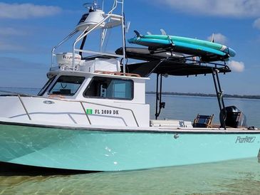 Dolphin and Snorkel - Salty mary charters and excursions