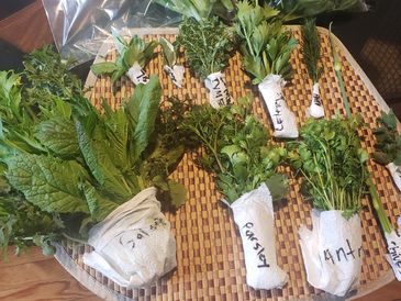  Fresh Herbs for a friend 
