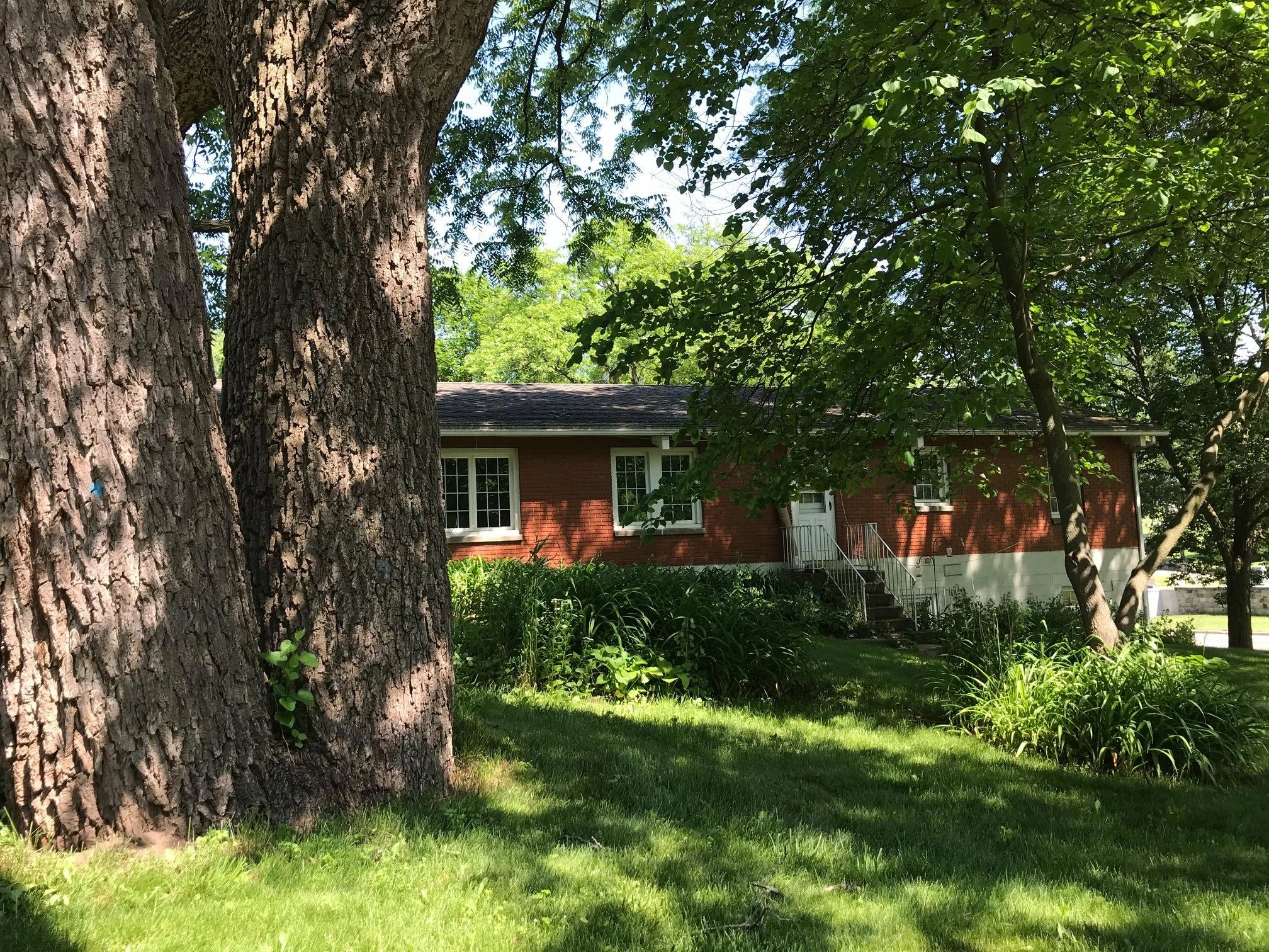 
The Kalamazoo Friends Meetinghouse, shaded by a large tree.