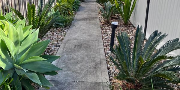 Clean and neat garden path.  Native plants with river stone for mulch and pathway lighting.