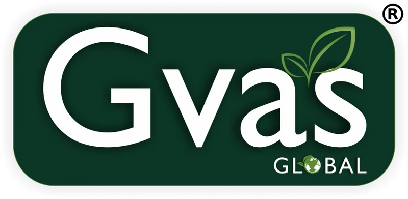 GVAS Global's Logo