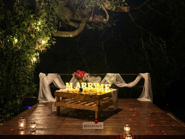 Romantic nighttime marriage proposal setup with flowers and lights.