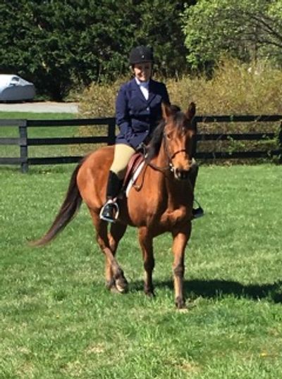 Sage and rider cross country